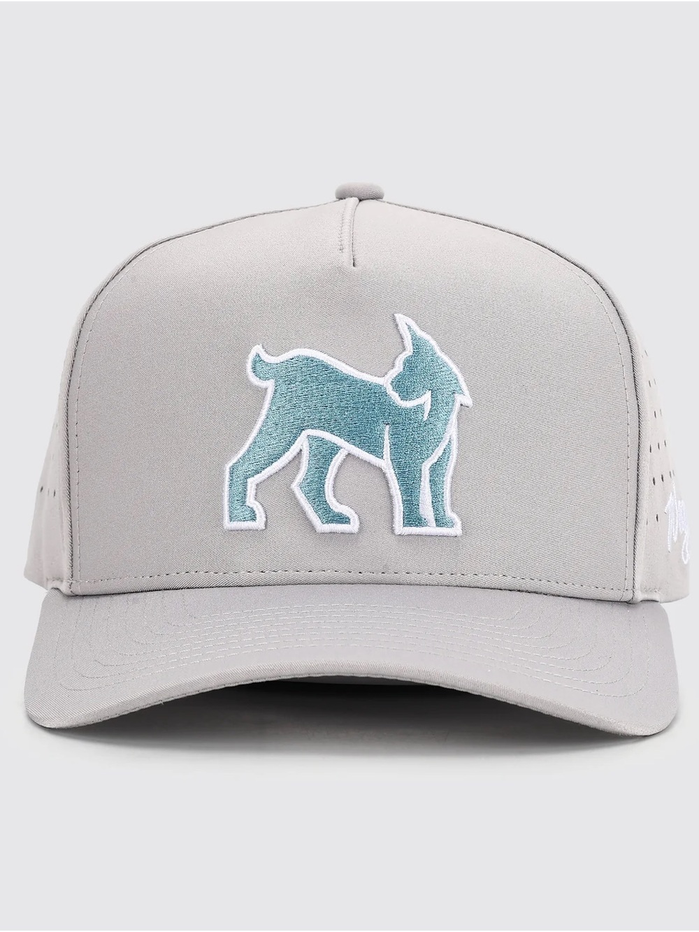 WAGGLE Links Lynx Hat